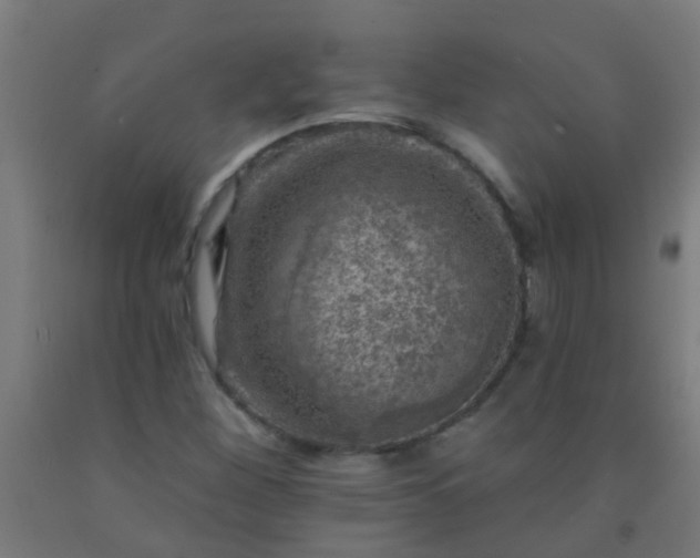 X0000092301260200709281319