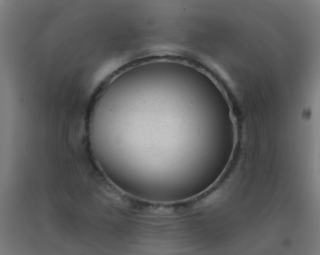 X0000092301261200709281319