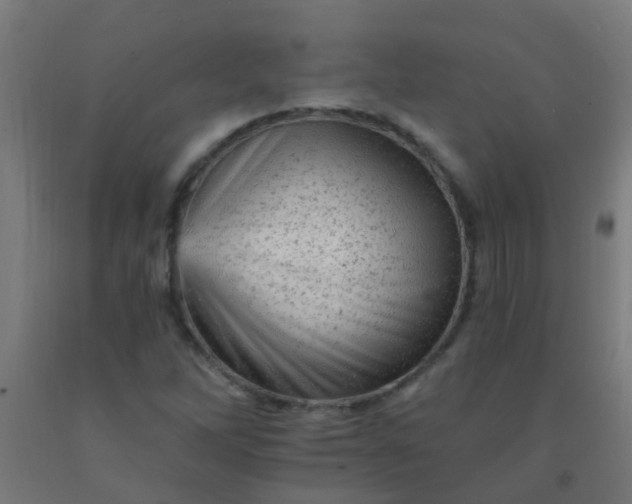 X0000092301262200709281319