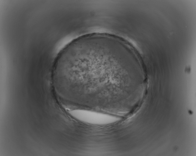 X0000092301263200709281319