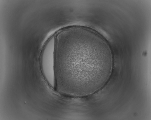 X0000092301264200709281319