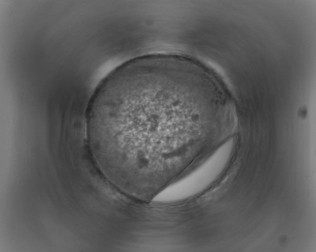 X0000092301267200709281319