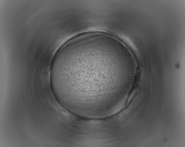 X0000092301268200709281319