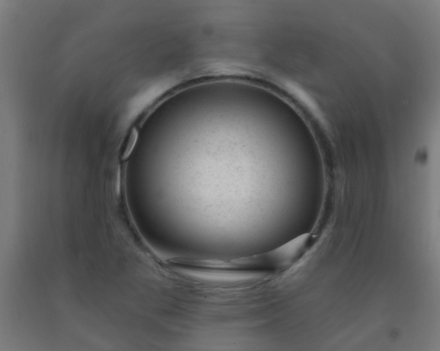 X0000092301269200709281319