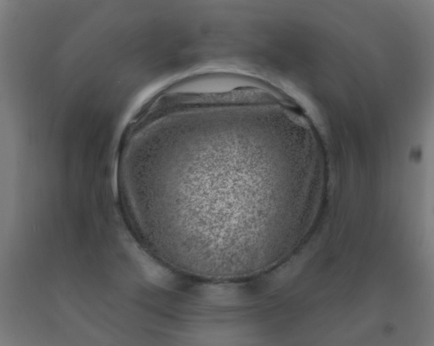 X0000092301272200709281319