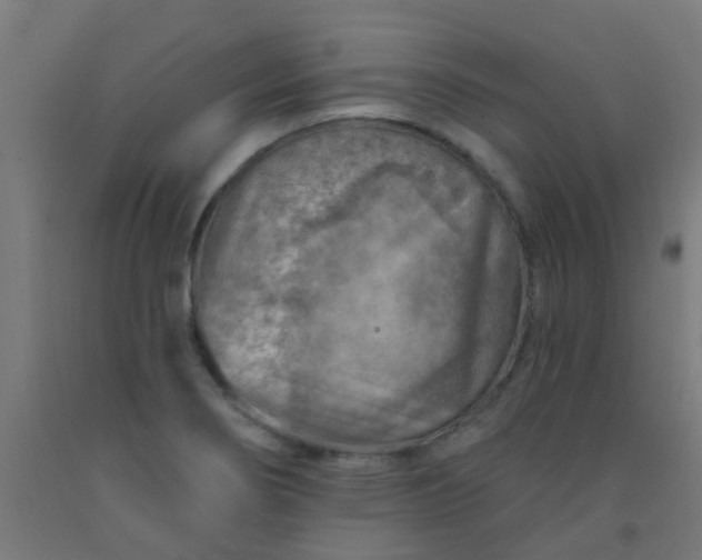 X0000092301274200709281319