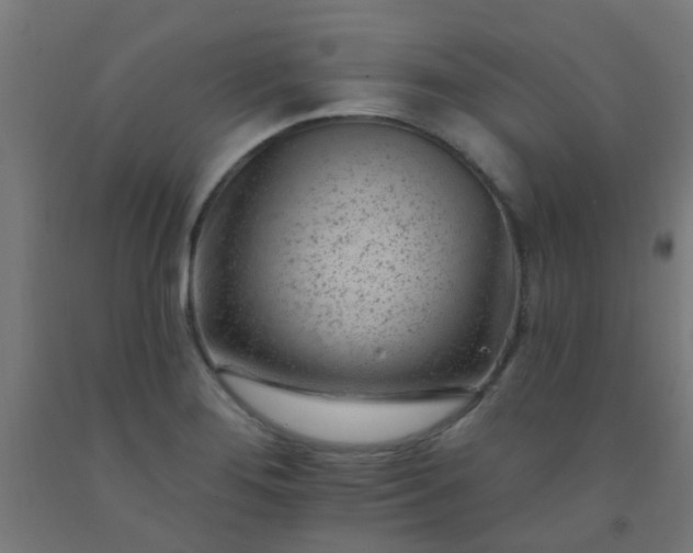 X0000092301276200709281319