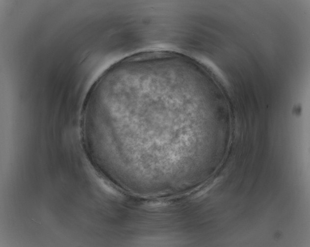 X0000092301278200709281319