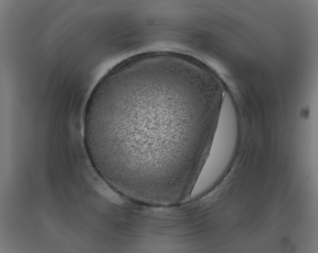 X0000092301280200709281319