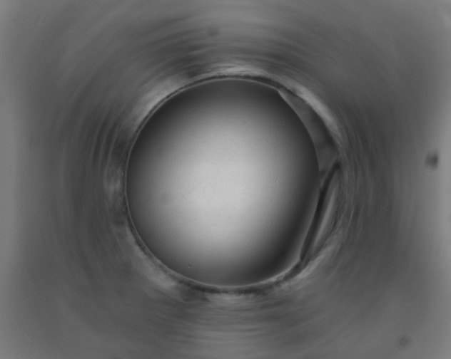 X0000092301281200709281319