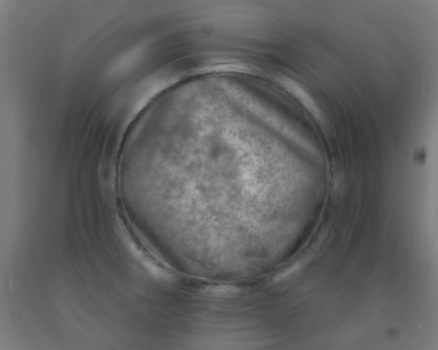 X0000092301282200709281319