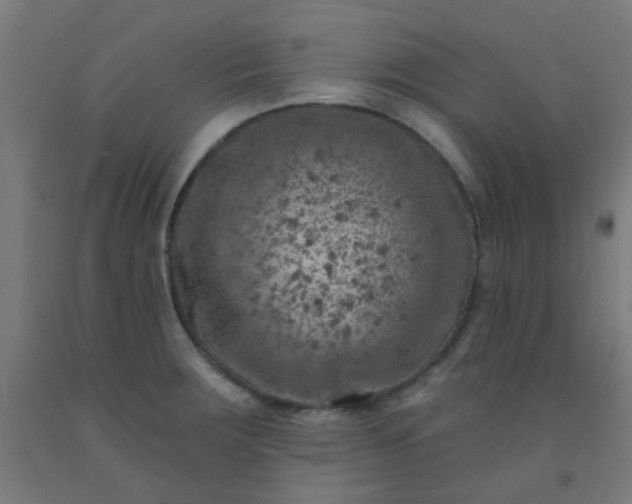 X0000092301283200709281319