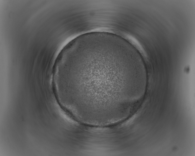 X0000092301284200709281319