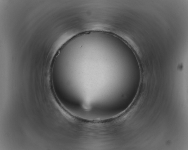 X0000092301285200709281319