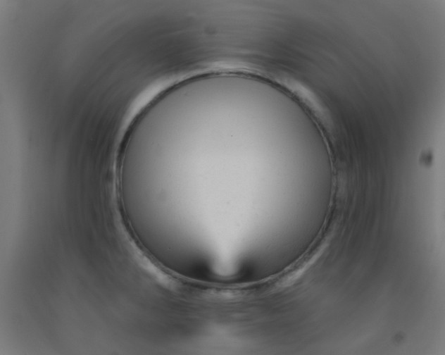 X0000092301286200709281319