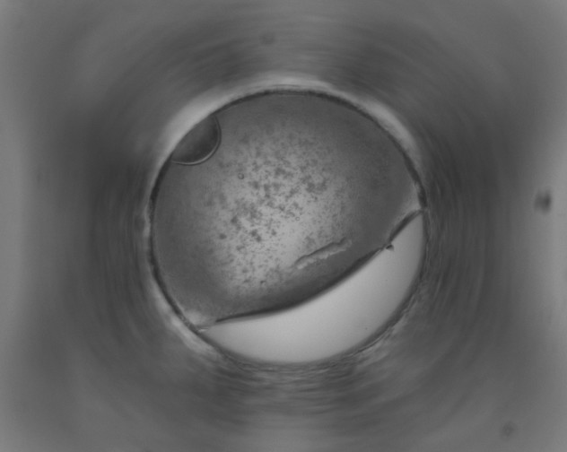 X0000092301287200709281319