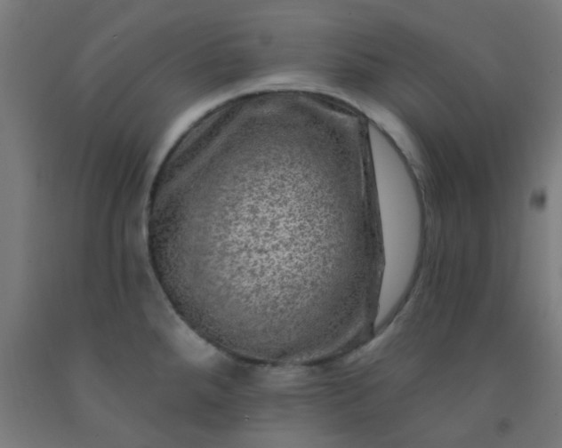 X0000092301288200709281319