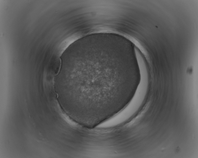 X0000092301289200709281319