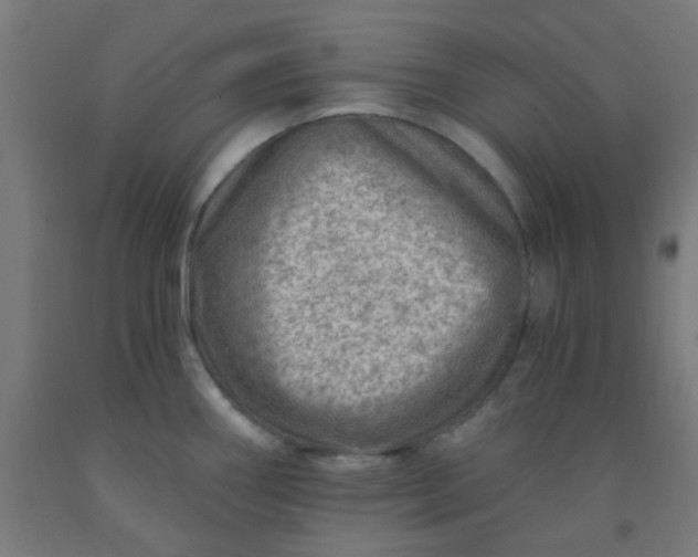 X0000092301290200709281319