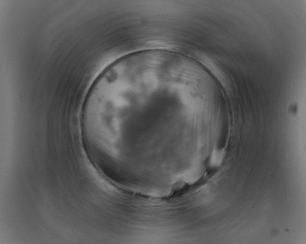 X0000092301291200709281319