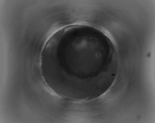 X0000092301292200709281319