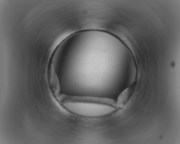 X0000092301293200709281319