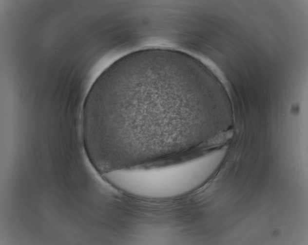 X0000092301295200709281319