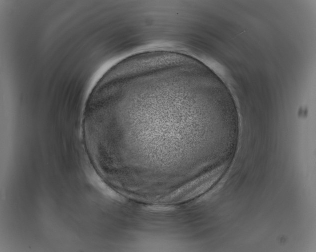 X0000092301296200709281319