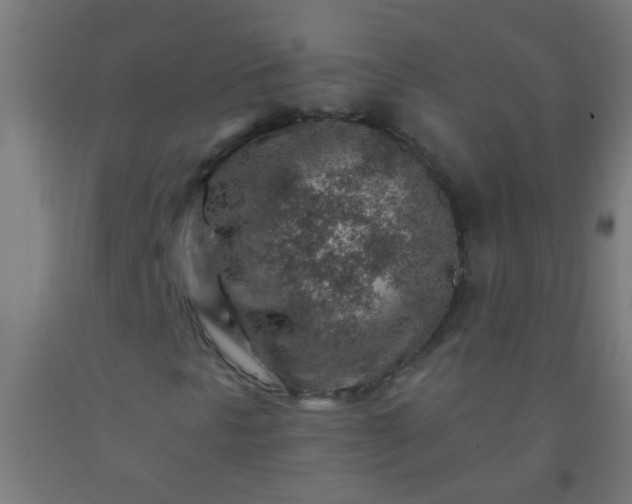 X0000092301297200709281318