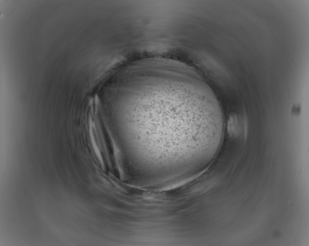 X0000092301299200709281318