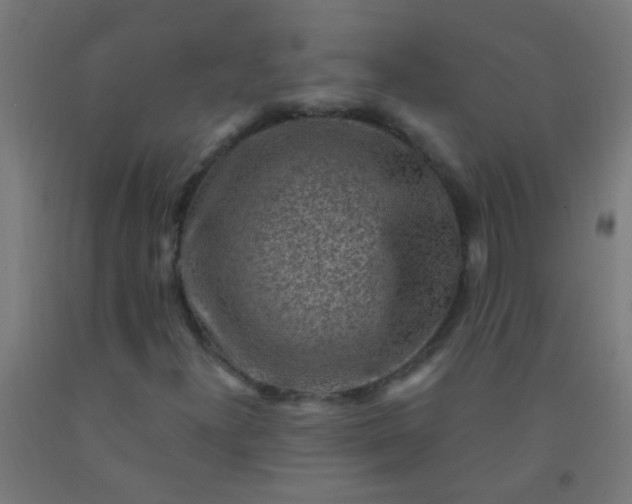 X0000092301300200709281318