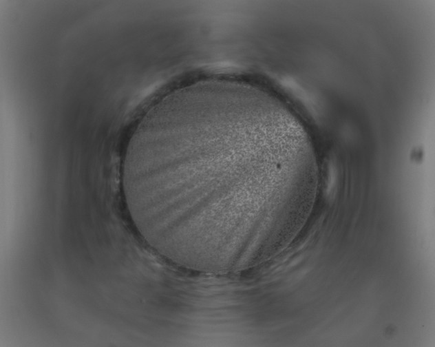 X0000092301301200709281318