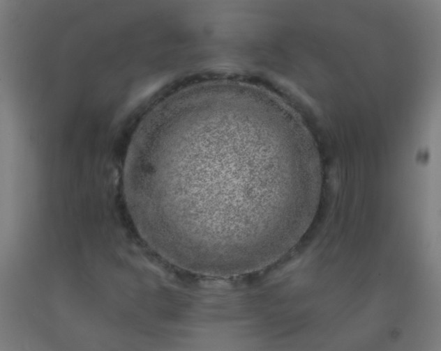 X0000092301302200709281318