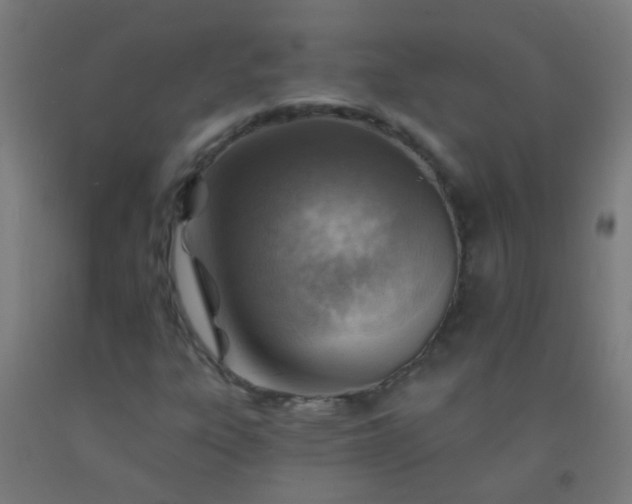 X0000092301303200709281318