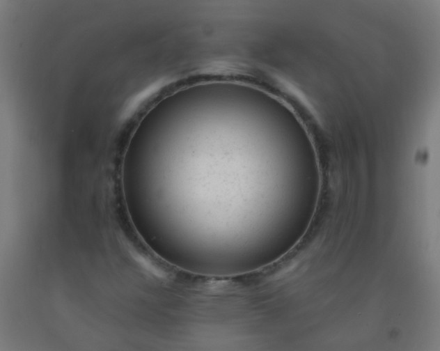 X0000092301304200709281318