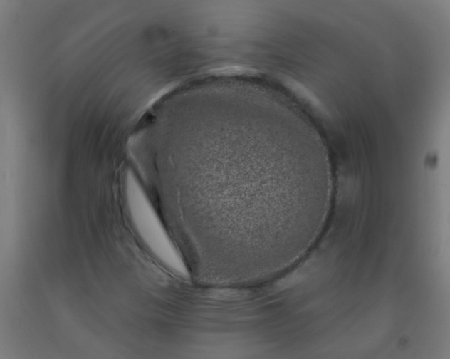 X0000092301305200709281318