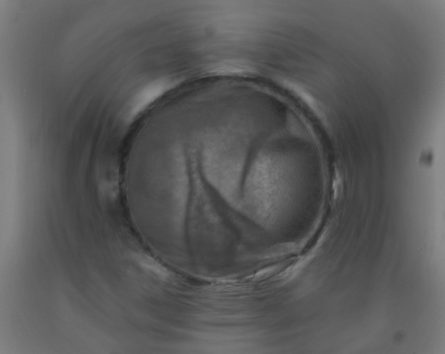 X0000092301306200709281318