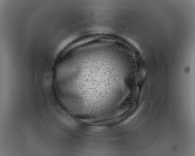 X0000092301309200709281318