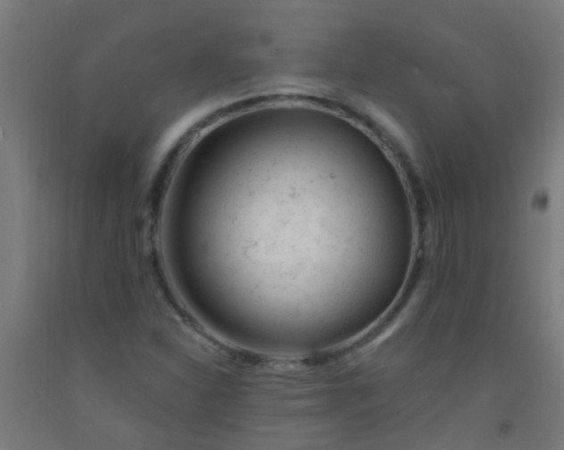 X0000092301310200709281318