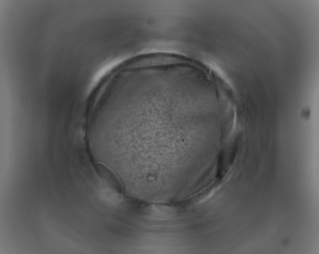 X0000092301312200709281318