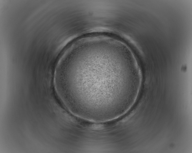 X0000092301313200709281318