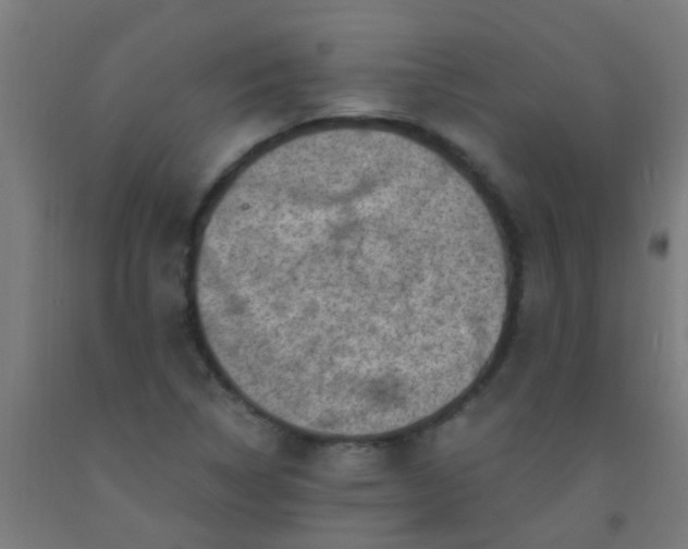 X0000092301314200709281318