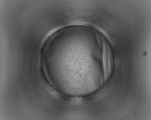 X0000092301315200709281318