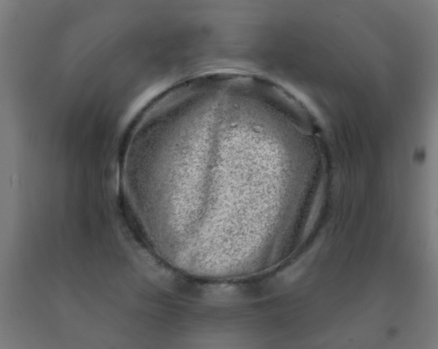 X0000092301317200709281318