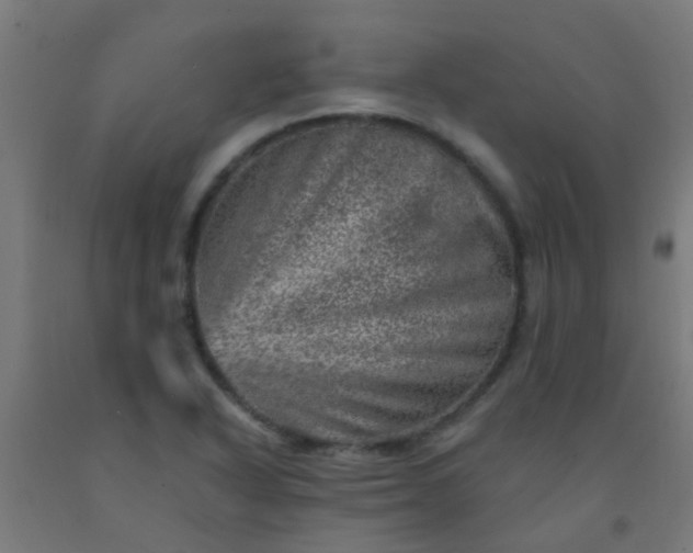 X0000092301318200709281318