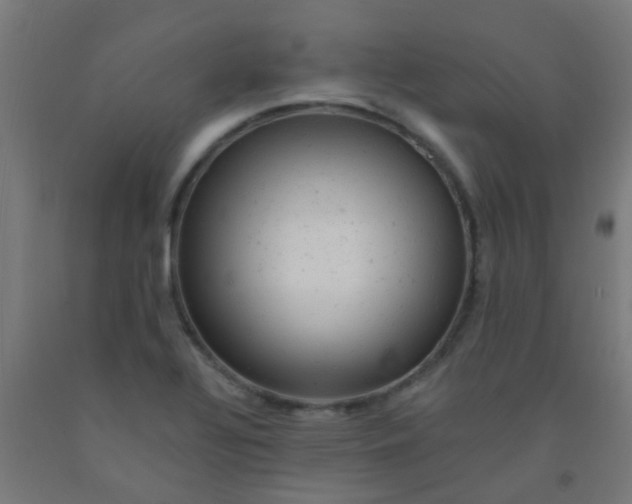 X0000092301320200709281318