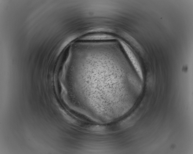 X0000092301321200709281318