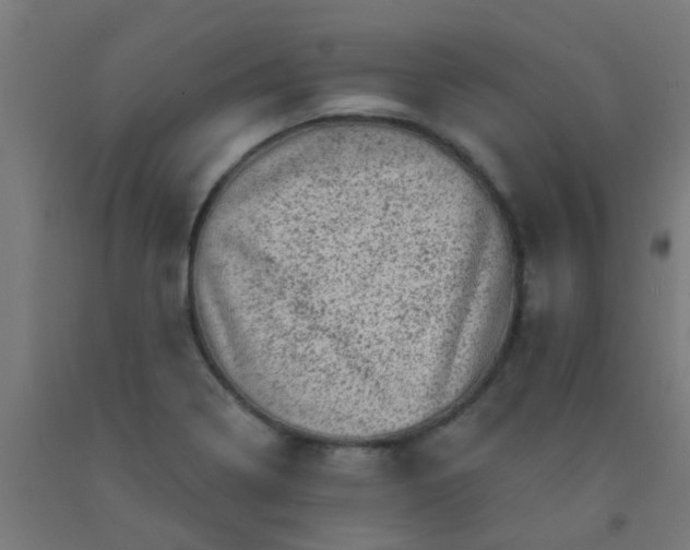 X0000092301322200709281318