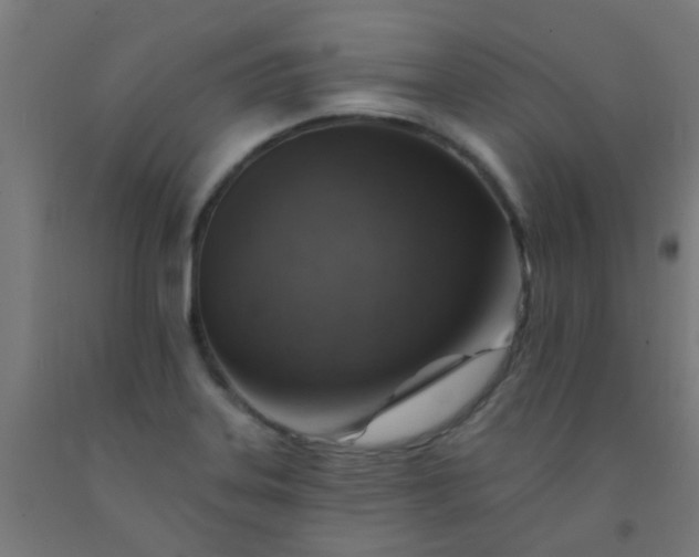 X0000092301323200709281318