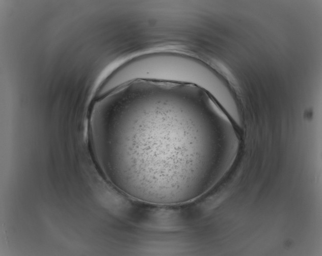 X0000092301324200709281318